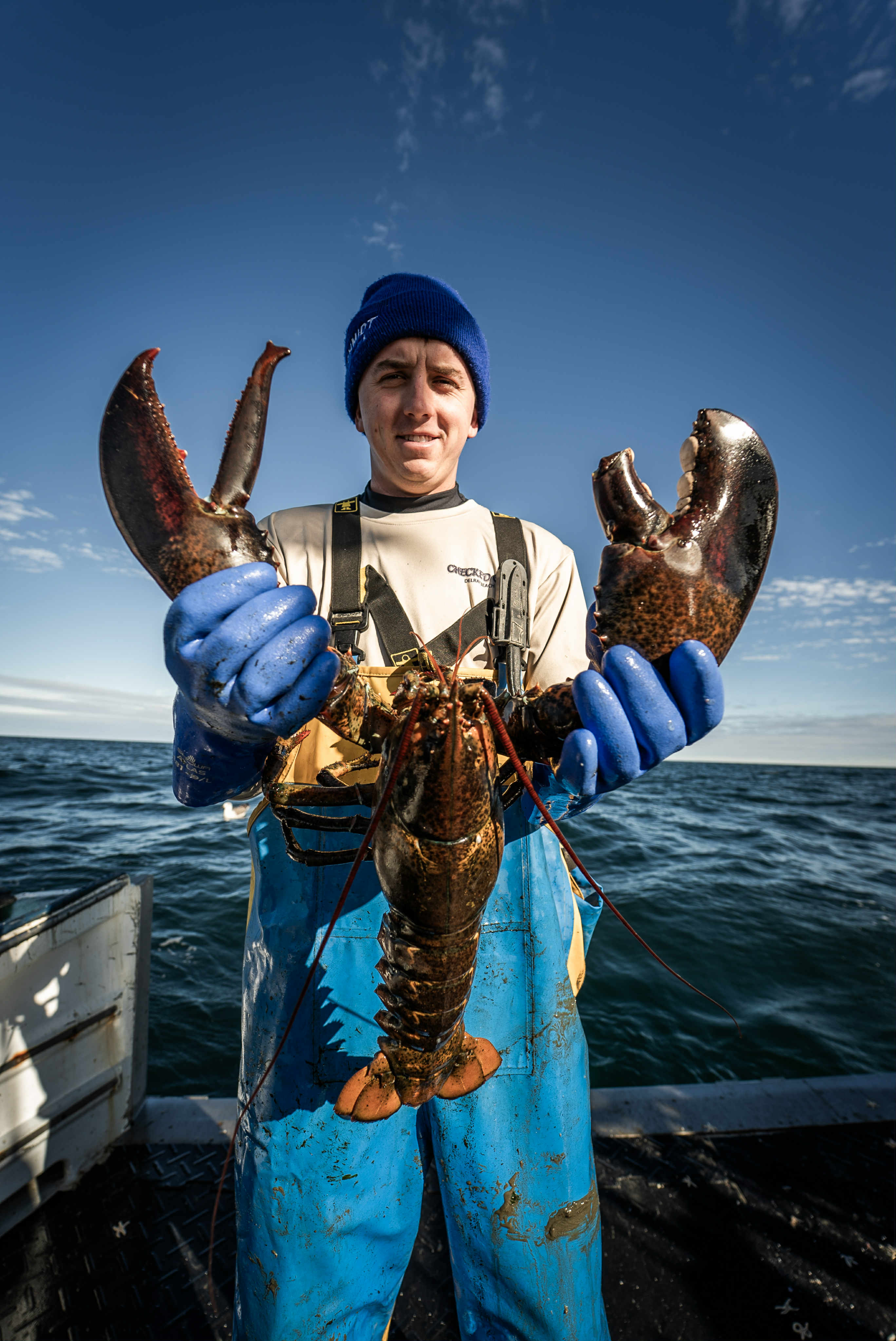 Kids helping band claws — family fun