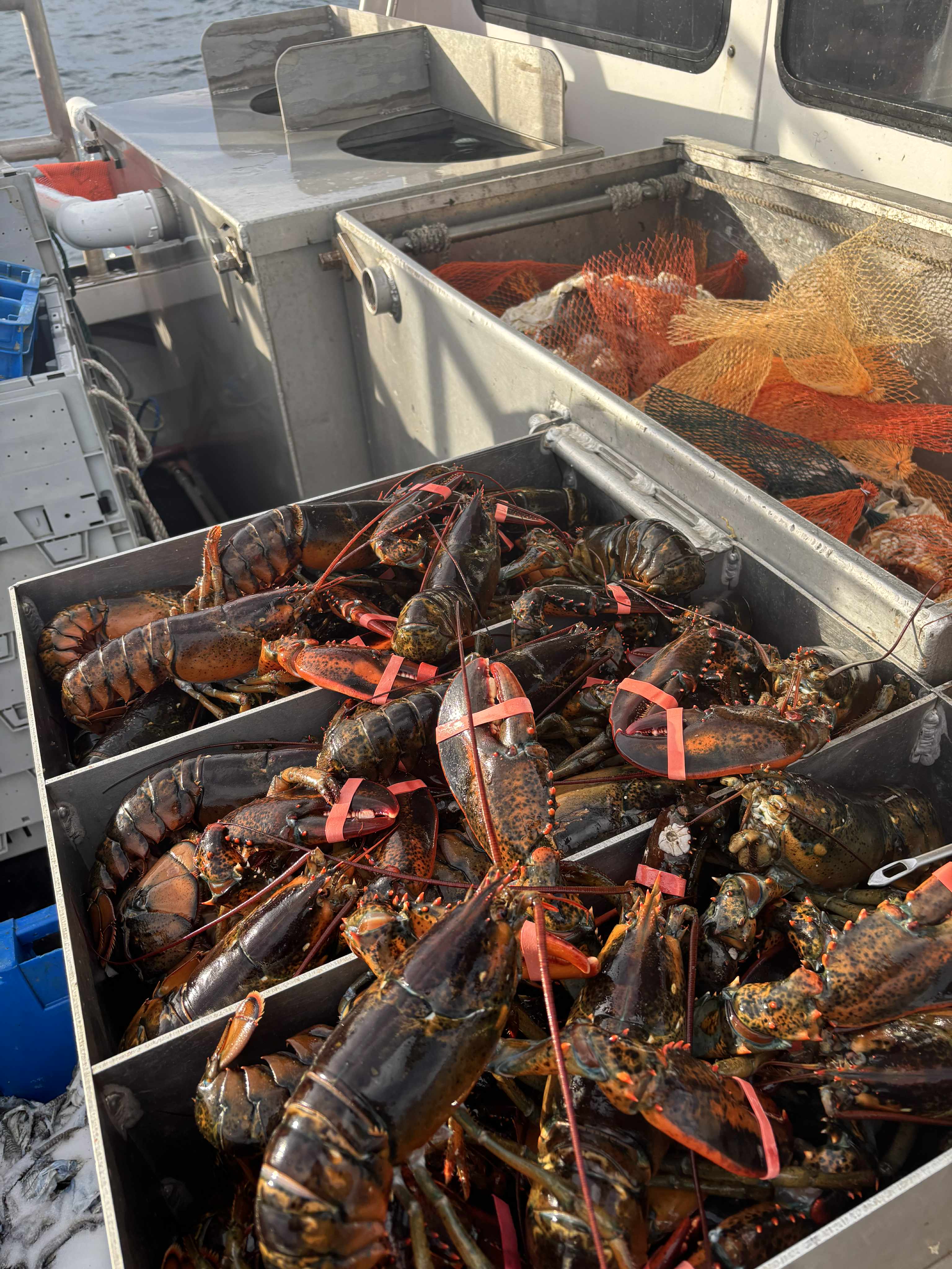 Deck detail — clean work area and gear