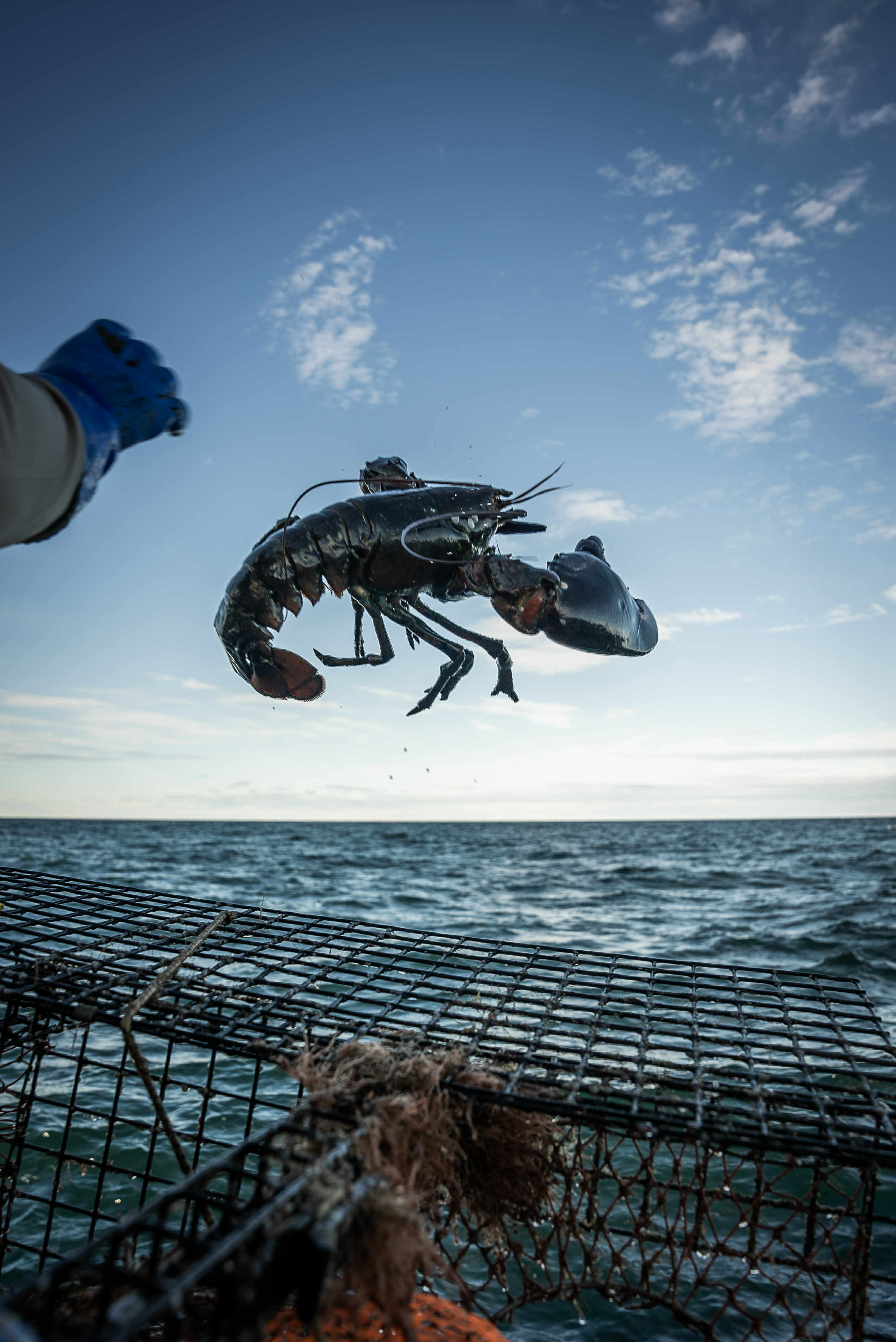 You can't keep 'em all