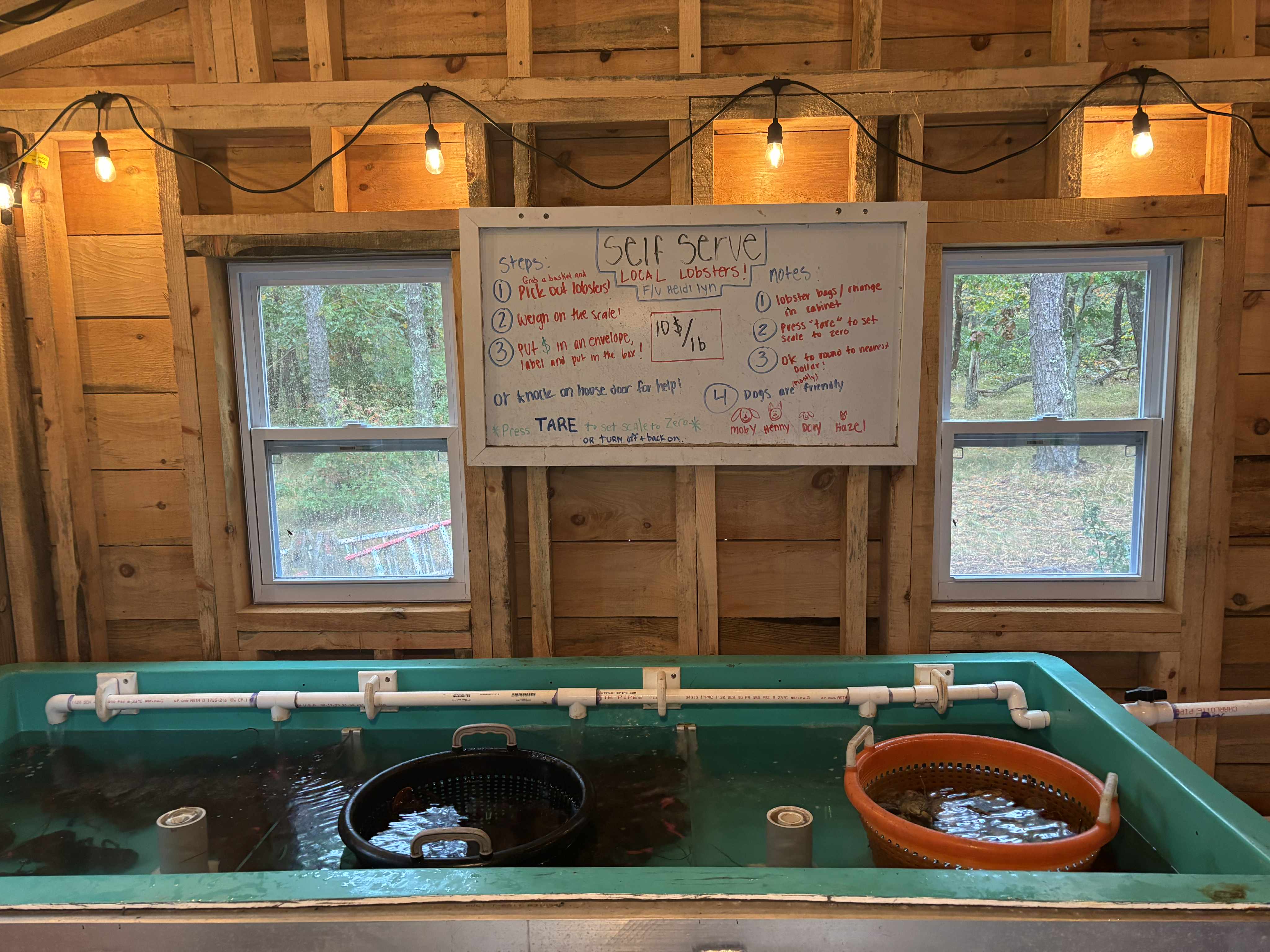 Self-serve honor-system pickup spot for Townsend’s boat-caught lobsters in North Truro.